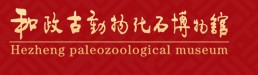 和政古动物化石博物馆的logo