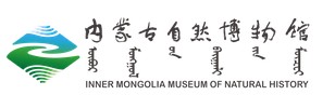 内蒙古自然博物馆的logo