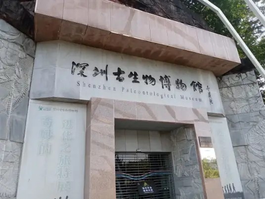 深圳古生物博物馆的logo