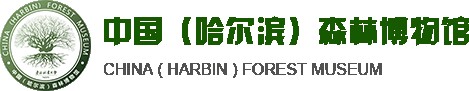 哈尔滨森林博物馆的logo