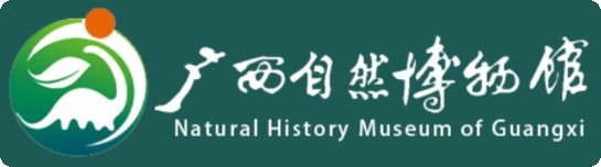 广西壮族自治区自然博物馆的logo